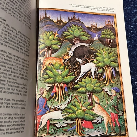 Identity dogs 320 Breeds - Picture 8 of 13